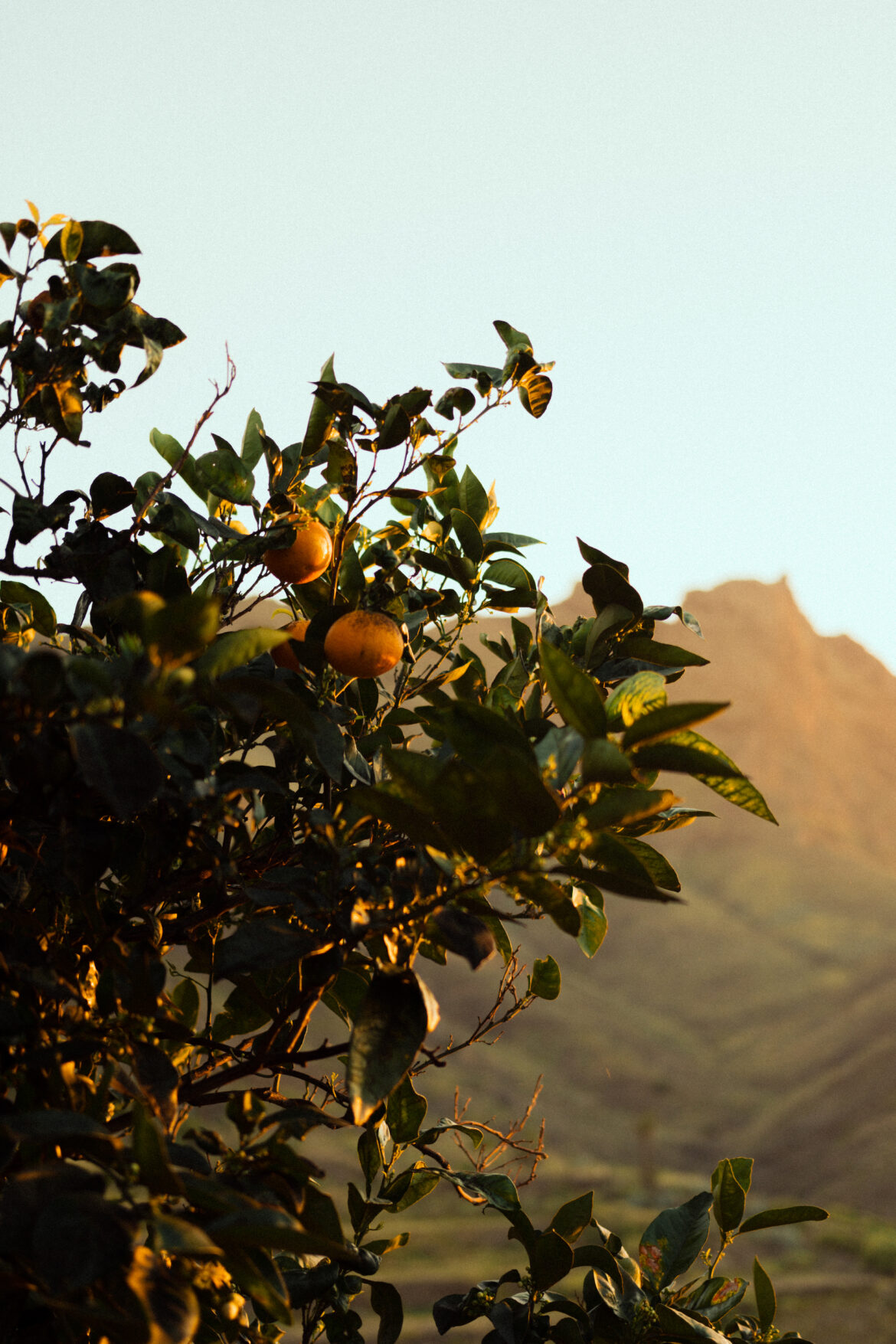 Następni do raju – La Gomera